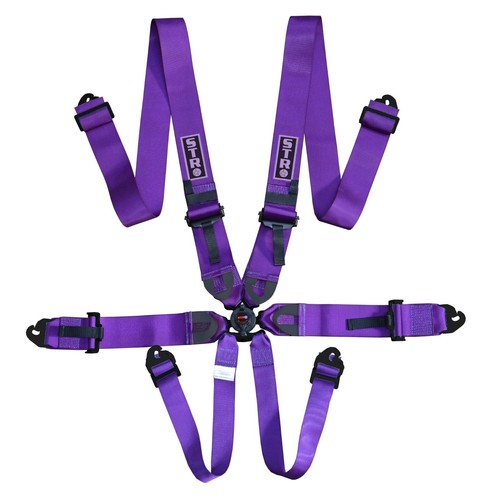 Purple point race harness - 6-point,
