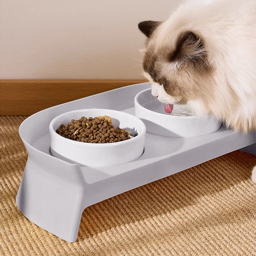 Elevated double ceramic pet - double,