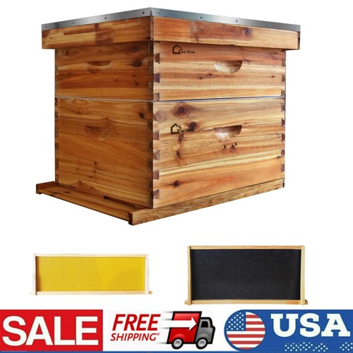 Beehive frame complete box - beehive,