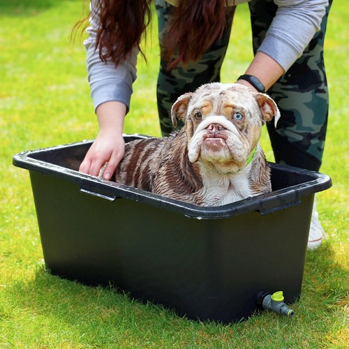 Sizes pet dog cleaning bath - pet,