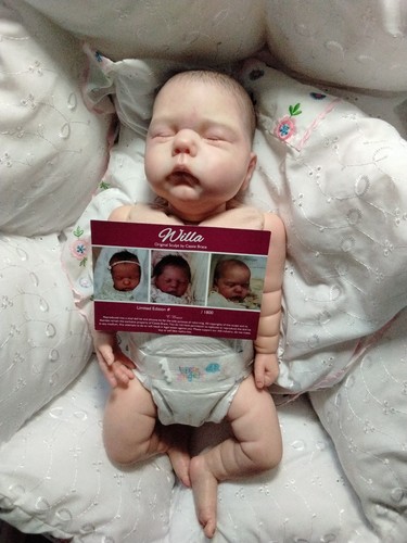 Willa cassie brace - willa,