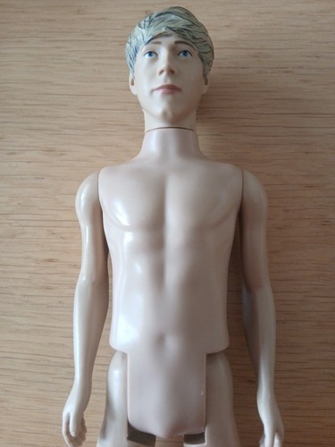 Nude 2013 one direction - 1d,