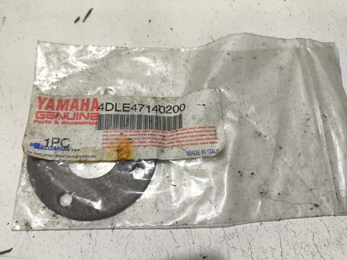 Yamaha tzr125rr 4dl - 4dl, exhaust