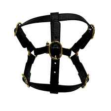 Gucci Leather Pet Harness For