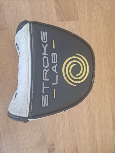 Odyssey stroke lab - odyssey,