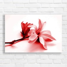 Stunning Magnolia Blossom