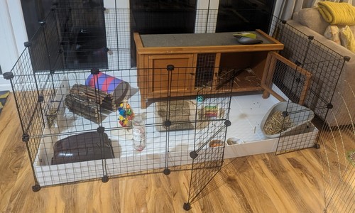 Indoor 2x5 grid rabbit - 2x5,