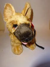 Alsatian puppy dog on lead