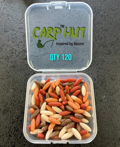 Carp coarse fishing - coarse,
