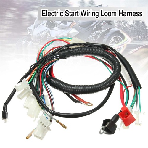 Electric wiring harness for - electric,