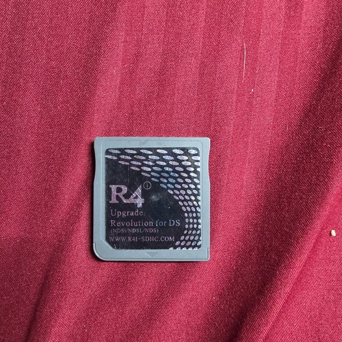 Revolution for nintendo - r4, ds