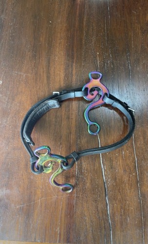 Beautiful hackamore with - beautiful,