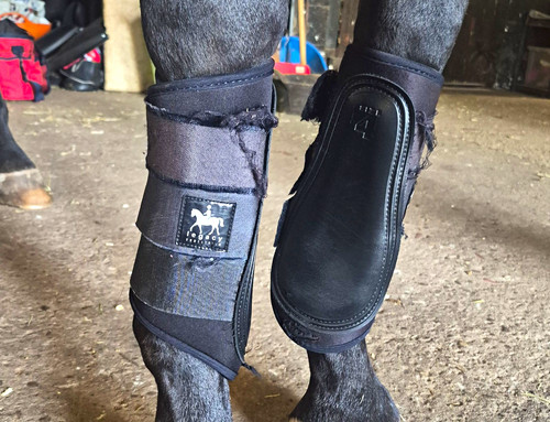 Legacy equestrian - legacy,
