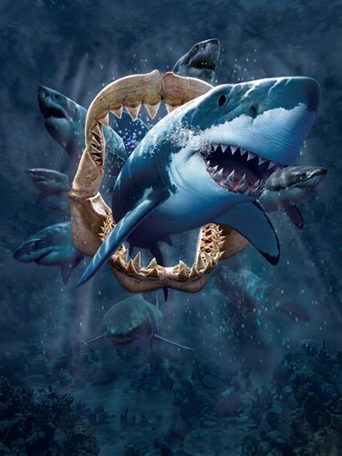 Jaws motion 3d lenticular - -,