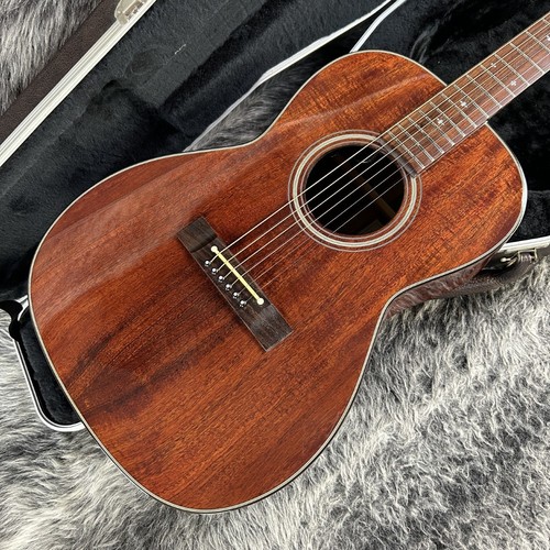 Takamine acoustic electric - takamine, acoustic-electric