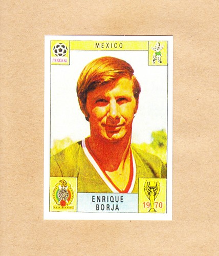Panini fifa world cup - -,