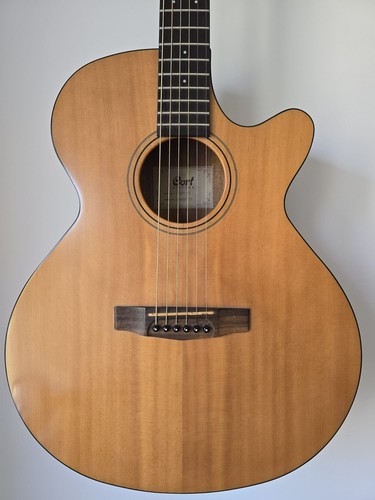 Cort sfx1f solid spruce - cort,