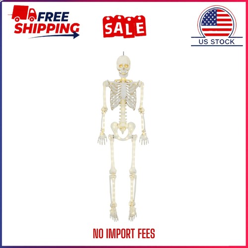 5ft poseable led illuminated - poseable,