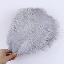 5-30CM Black Natural Ostrich