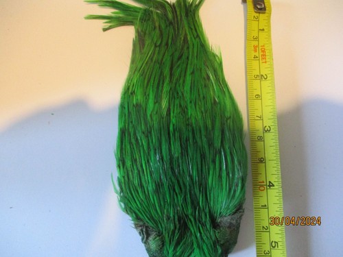 Highlander green badger indian - badger,