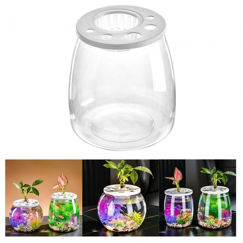 Fish bowl decorative - bowl, table
