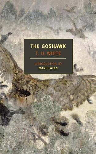 The goshawk new york - the, (new