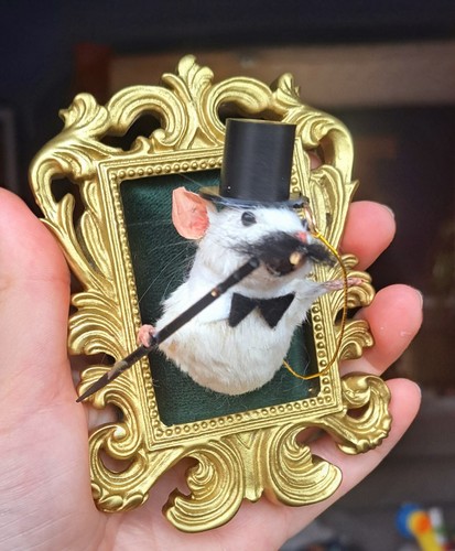 Taxidermy mouse head gentleman - mouse,