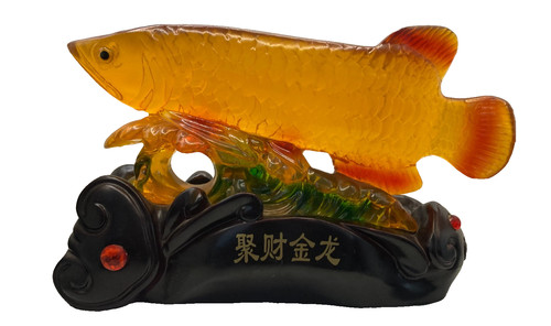 Feng shui wealth arowana - shui,