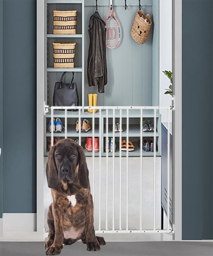 Bettacare dog gate extra - dog,