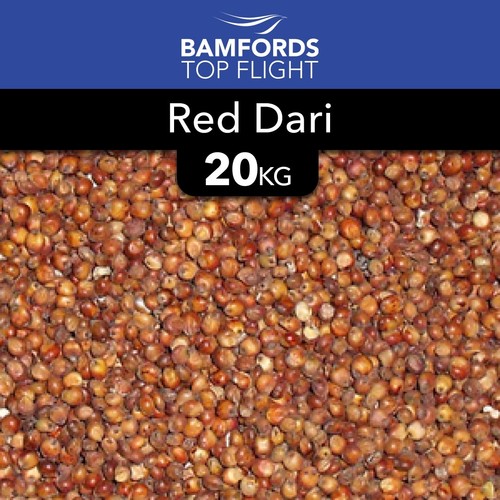 20kg red dari fishing - red, bait