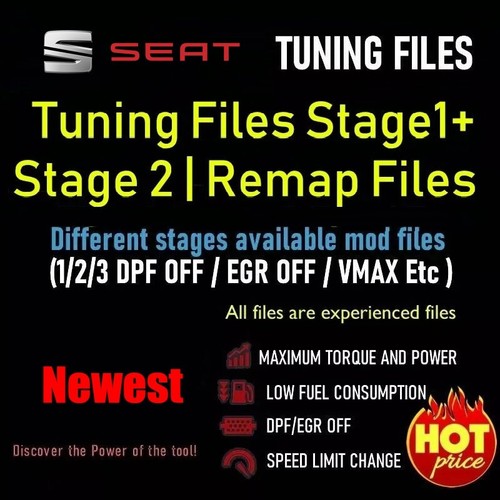 Seat ecu remap - ecu, chip