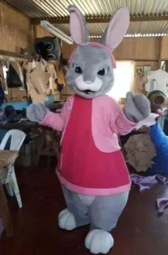 Peter rabbit easter bunny - peter,
