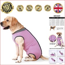 Multi-Functional Dog Surgical