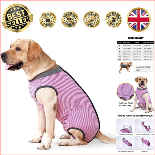 Multi functional dog - multi-functional,