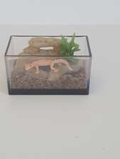 Miniverse make it mini animals