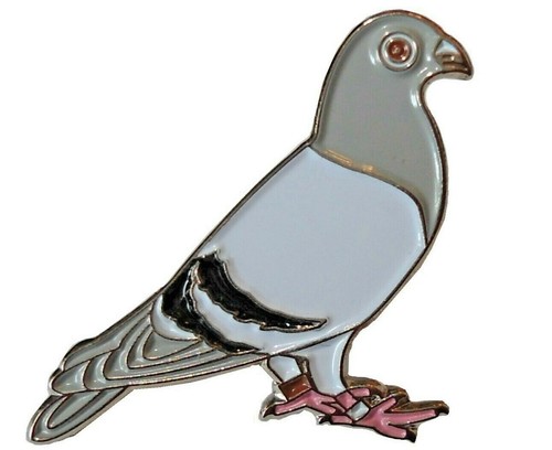 Racing homing carrier pigeon - racing,