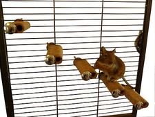 Degu Steps - Refills (no