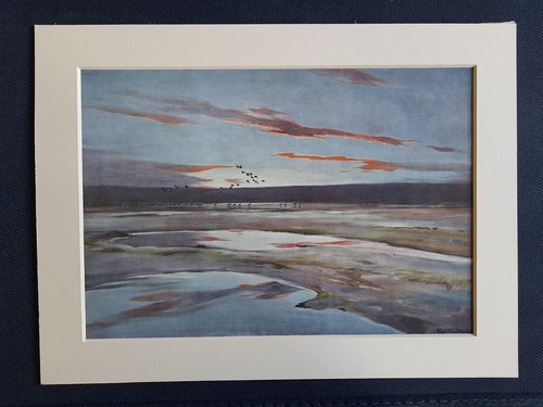 Vintage peter scott print - vintage,