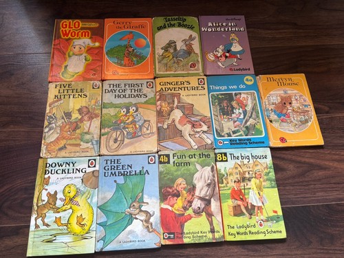 Ladybird book bundle - 13,