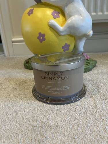 Homeworx slatkin wick - by,