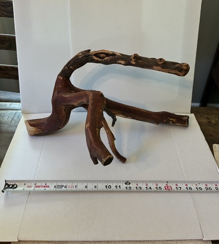 Manzanita branch - 21”,