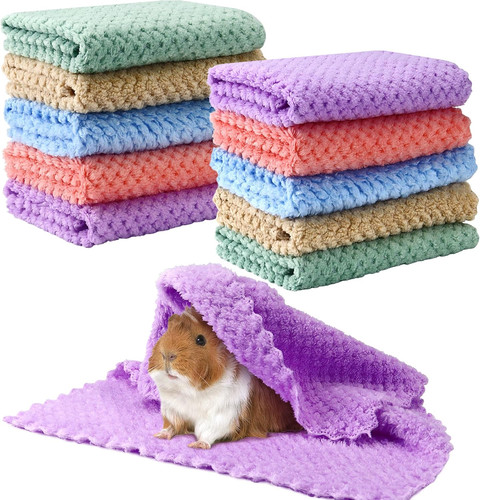 10pcs guinea pig - 10pcs, fleece