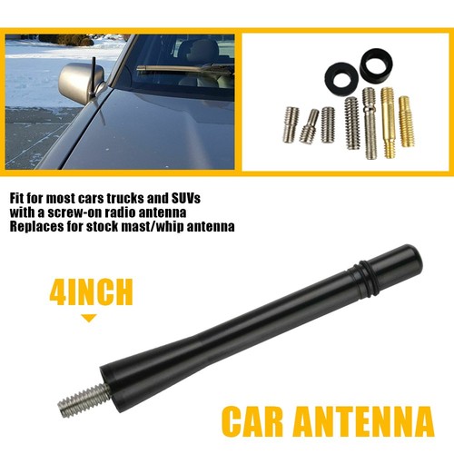 Short black aluminum - short,