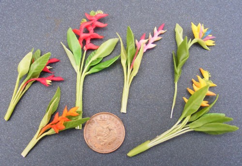 Single bird paradise - single,