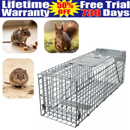 Cat trap for stray - cat,