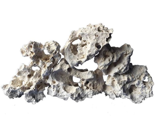 Aqarium white ocean rock - aqarium,
