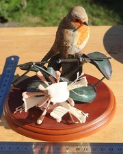 (1012) Border Fine Arts Robin and Honeysuckle A0910 Free P&P in UK Garden Guests