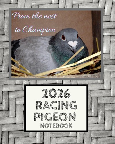 Racing pigeon notebook - pigeon, from