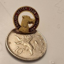 English Setter Club Of Ireland