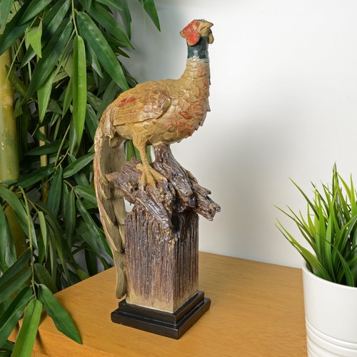 Sitting pheasant indoor - ,